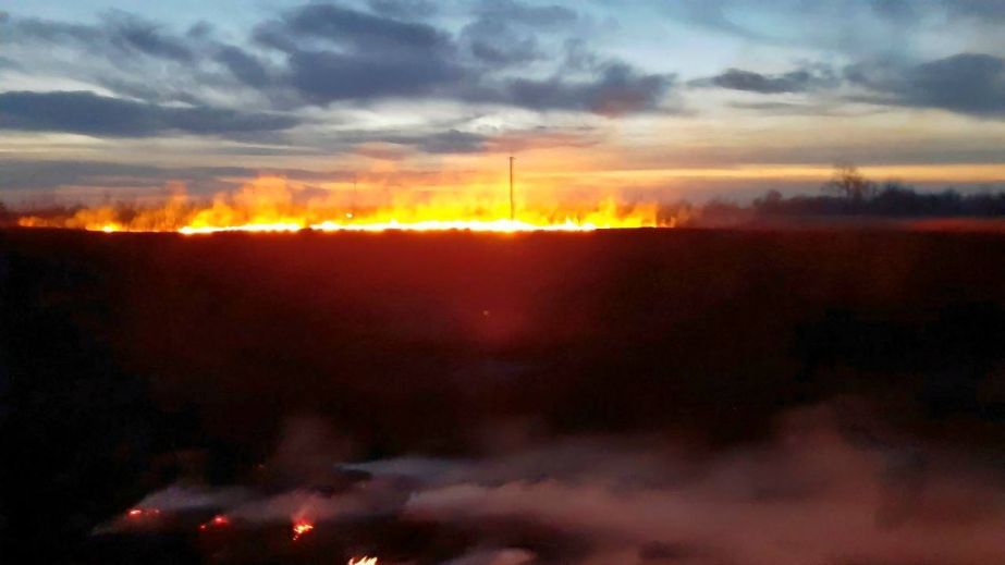 У Піщанці за добу сталися дві пожежі сухостою та очерету (ФОТО)