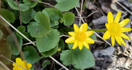 Какая будет погода в Днепре и области 31 марта и в первые дни апреля