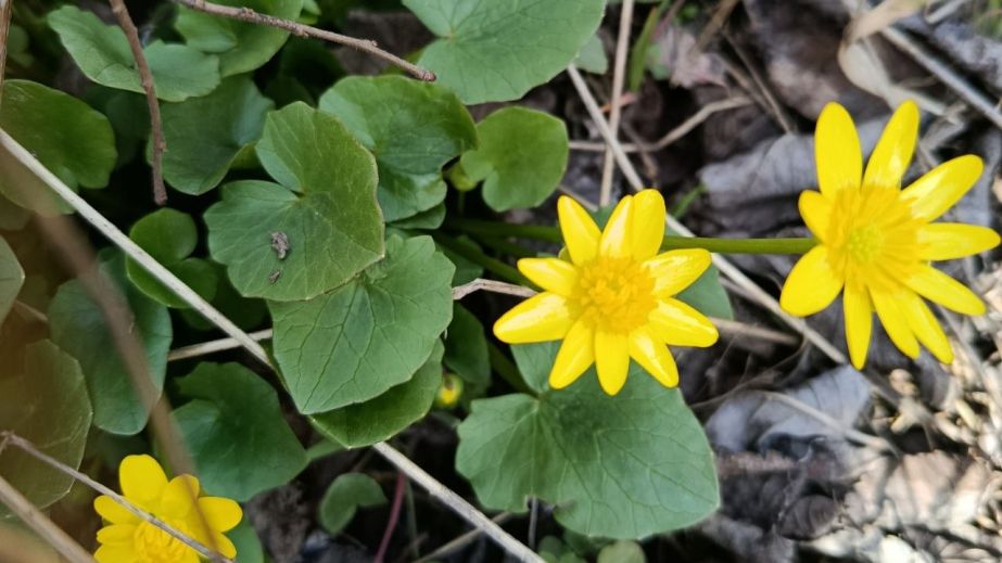 Погода в Днепре и области 30 марта