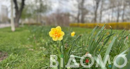 Какой будет погода в Днепре и области 19 апреля