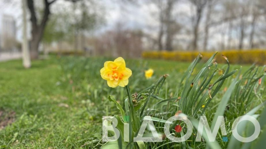 Какой будет погода в Днепре и области 19 апреля