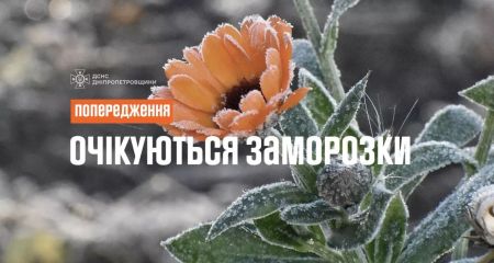 Заморозки не отступают: завтра тоже будет холодно