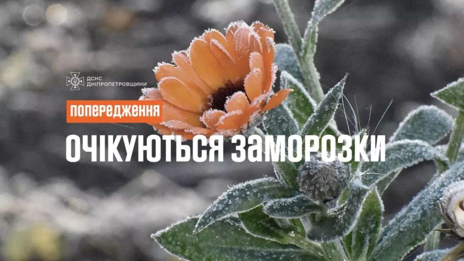 Заморозки не отступают: завтра тоже будет холодно