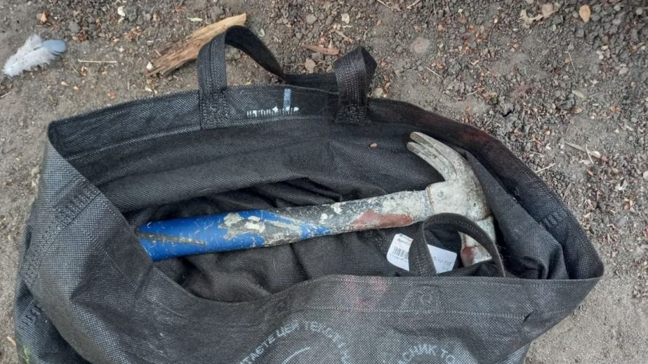 Пробили голову молотком: на Днепропетровщине двое мужчин напали на знакомую пенсионерку