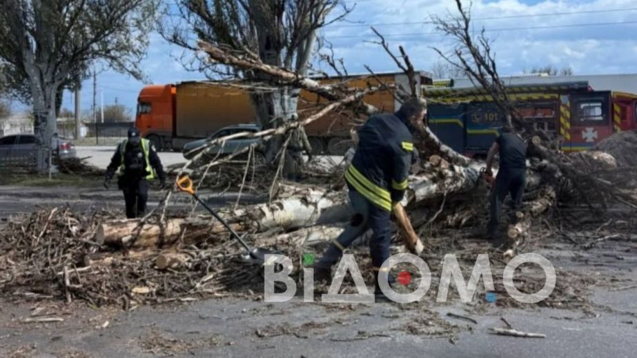 В Днепре из-за урагана наблюдается деревопад (ФОТО)
