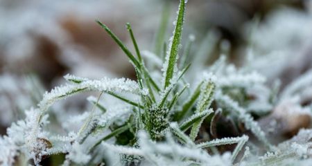 Завтра Дніпро та область знову накриють заморозки