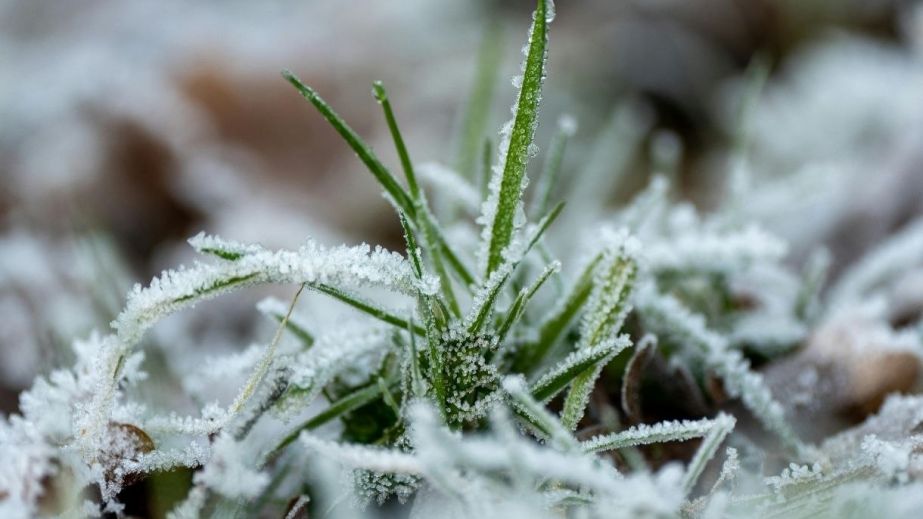 Завтра Днепр и область снова накроют заморозки