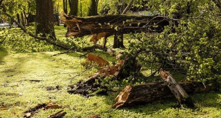 Битва за світло: на Дніпропетровщині повернули електрику у 130 тисяч осель (ФОТО)