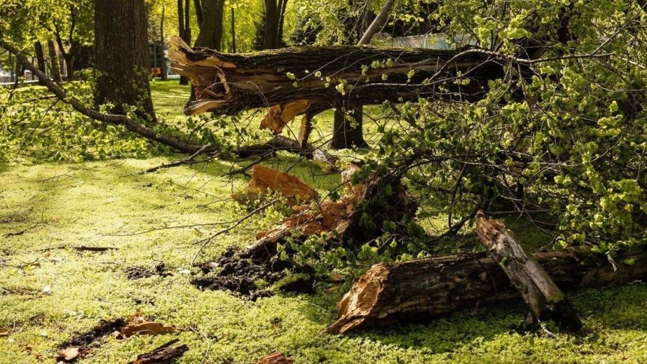 Битва за світло: на Дніпропетровщині повернули електрику у 130 тисяч осель (ФОТО)