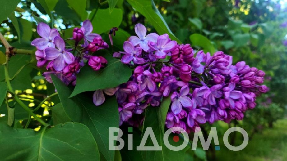 Дождь с грозой: погода в Днепре и области на 10 мая