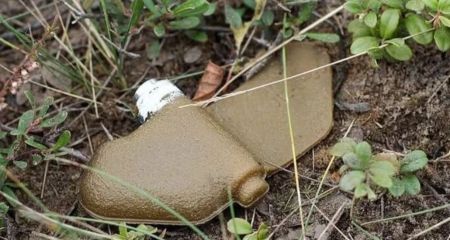 Травмированы обе руки: в Павлограде в руках 10-летнего ребенка сдетонировала взрывчатка
