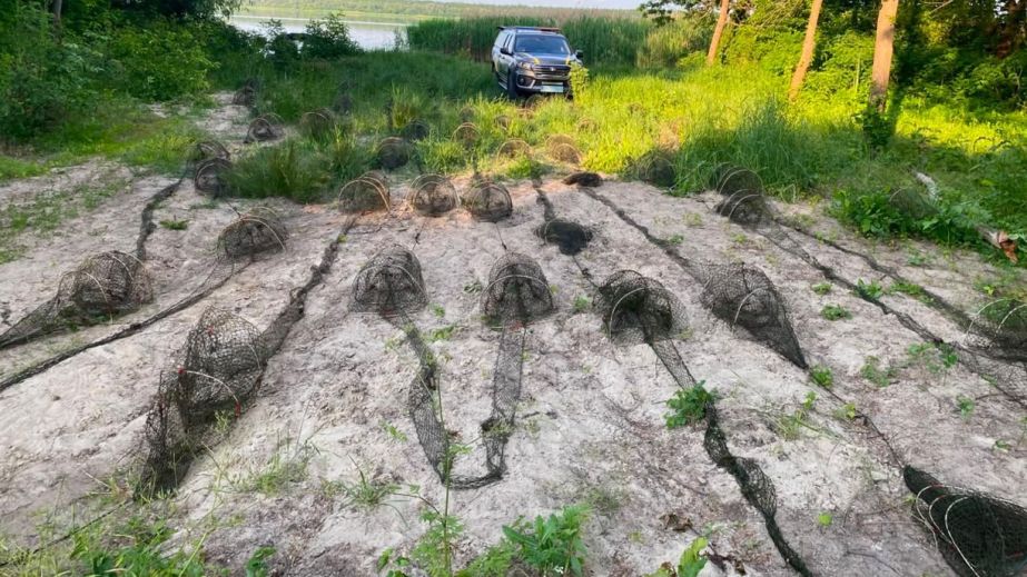 Врятували 37 раків: на Дніпропетровщині водний патруль завадив браконьєрам на понад 120 000 гривень (ФОТО)