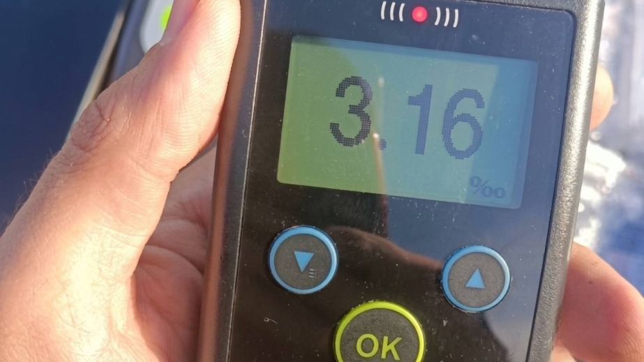 Почти в 16 раз больше нормы: в Кривом Роге задержали пьяного водителя