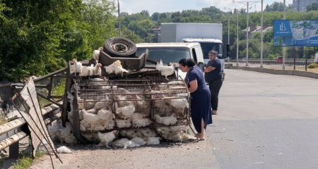 ДТП в Каменском: на мосту оторвался и опрокинулся прицеп с курицами (ФОТО)