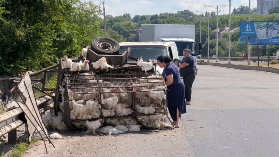 ДТП в Каменском: на мосту оторвался и опрокинулся прицеп с курицами (ФОТО)
