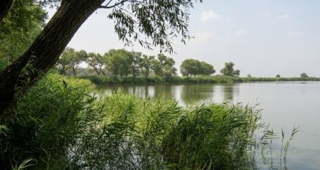На детском пляже в Самаре обнаружили холерный вибрион: чем это чревато и как уберечься