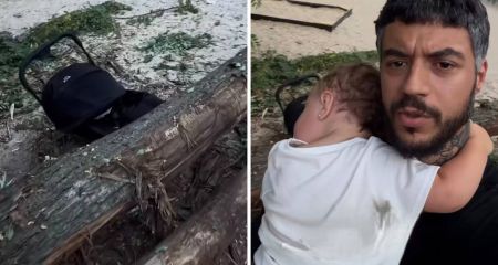 "Это жесть": в Днепре на Слобожанском проспекте дерево упало на детскую коляску (ВИДЕО)