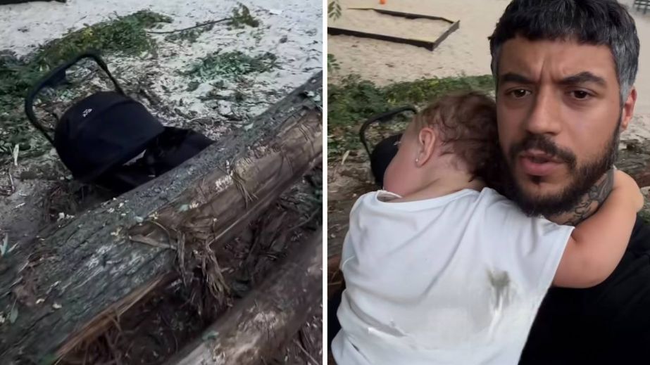 "Це жесть": у Дніпрі на Слобожанському проспекті дерево впало на дитячий візок (ВІДЕО)