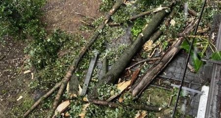 Буревій повалив дерево: у Кривому Розі багатоповерхівка залишилася без світла, газу та з вибитими вікнами (ФОТО, ВІДЕО)