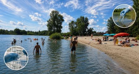 Стали відомі результати аналізу води на пляжах Дніпра: де найбрудніше