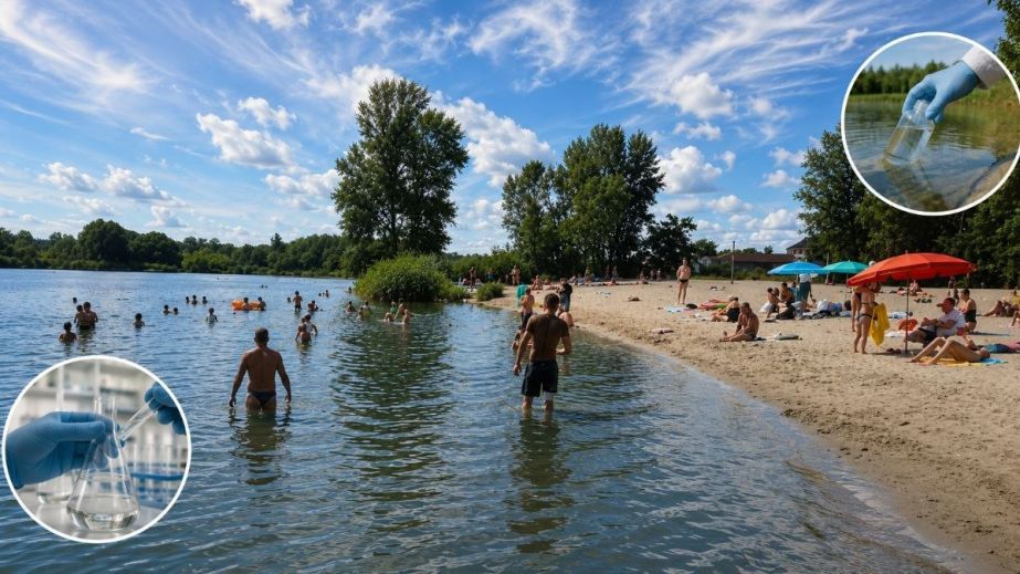 В водоемах нескольких пляжей области снова обнаружили холерный вибрион: где купаться не стоит