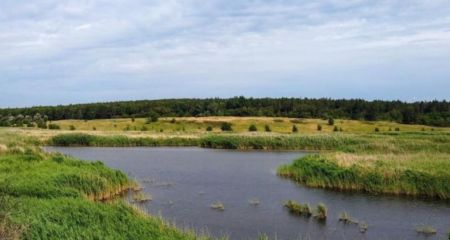 На Дніпропетровщині повернули громаді землі заказника "Долина річки Бик" вартістю 15 мільйонів