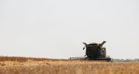 Аграрии Днепропетровщины уже намолотили около 1,9 миллиона тонн зерна