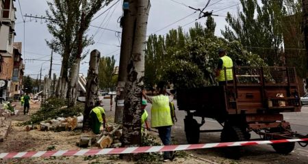 "Оставили сами ствол...