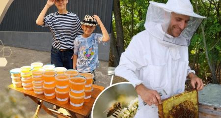 Сколько стоит мед в Днепре и как не купить фальсификат: советы известного пасечника