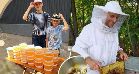 Сколько стоит мед в Днепре и как не купить фальсификат: советы известного пасечника