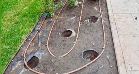 На улице Калиновой в Днепре вандалы похитили около 20 декоративных деревьев