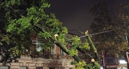 Свалено почти сотню ...