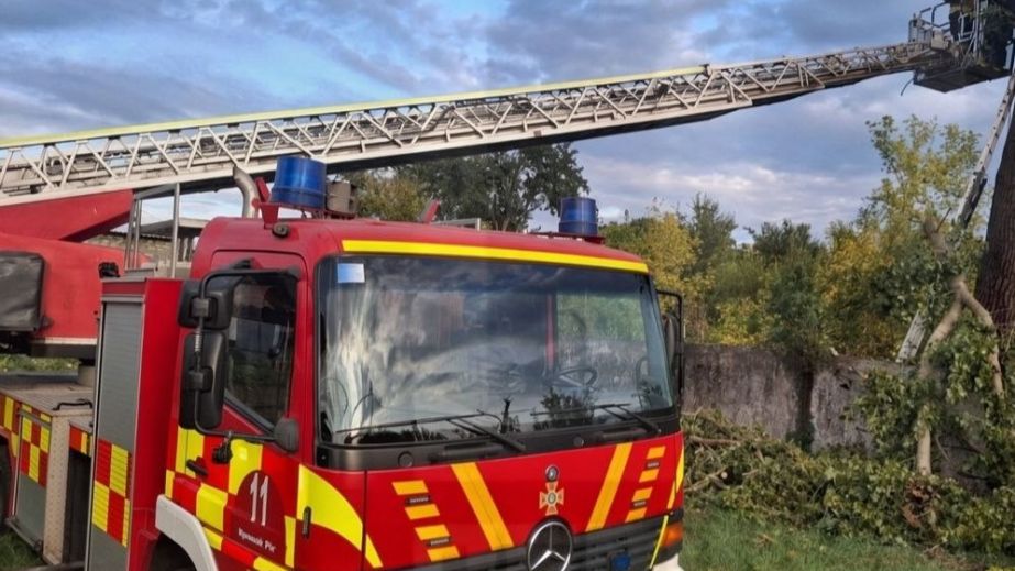 Трагічний випадок на висоті: у Кривому Розі чоловік загинув під час обрізання гілок