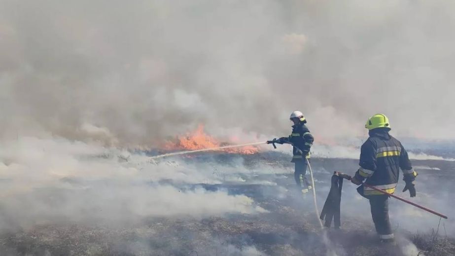 Тисячі гектарів спаленої землі: на Дніпропетровщині від початку року зафіксували понад 3 тисячі пожеж в екосистемах