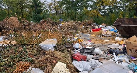 Стихійне сміттєзвалище на в'їзді в селище Шевченко загрожує мешканцям антисанітарією та щурами