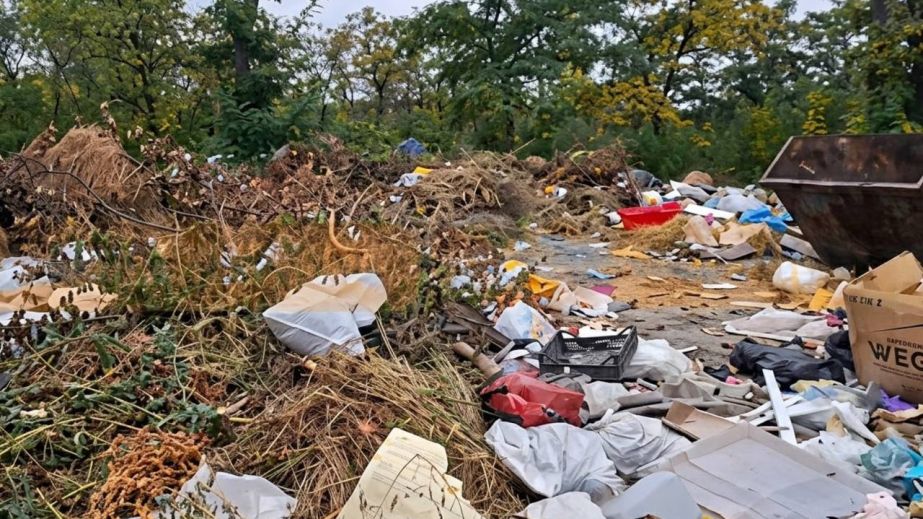 Стихійне сміттєзвалище на в'їзді в селище Шевченко загрожує мешканцям антисанітарією та щурами