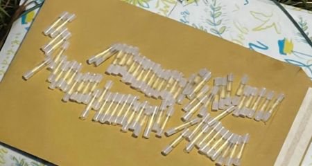 Почти 70 свертков с наркотиками: в Кривом Роге поймали пару "закладчиков" (ФОТО)