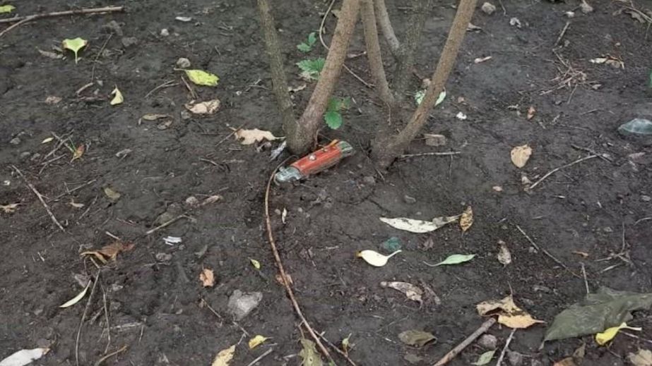 Удар по голове и десяток ножевых: в Кривом Роге мужчина устроил охоту на женщин (ФОТО)