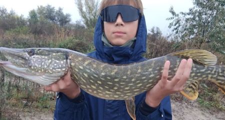 Трофейний улов на Орелі: юний рибалка з Дніпропетровщини витягнув щуку вагою понад 4 кг (ФОТО)