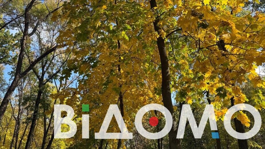 Справжній ліс посеред міста: як у Дніпрі виглядає парк Богдана Хмельницького (ФОТО, ВІДЕО)