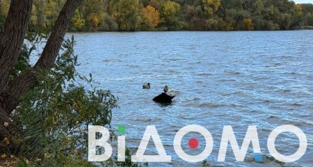 Прохладный воздух и пожелтевшие листья: в Днепре на косе Победы царит осенняя сказка (ФОТО, ВИДЕО)