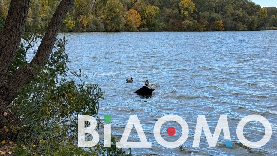 Прохладный воздух и пожелтевшие листья: в Днепре на косе Победы царит осенняя сказка (ФОТО, ВИДЕО)