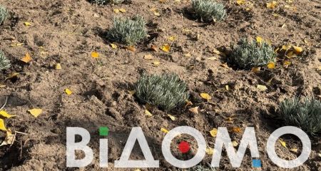 Лавандовий настрій у серці Дніпра: як змінюється парк Сагайдак (ФОТО, ВІДЕО)