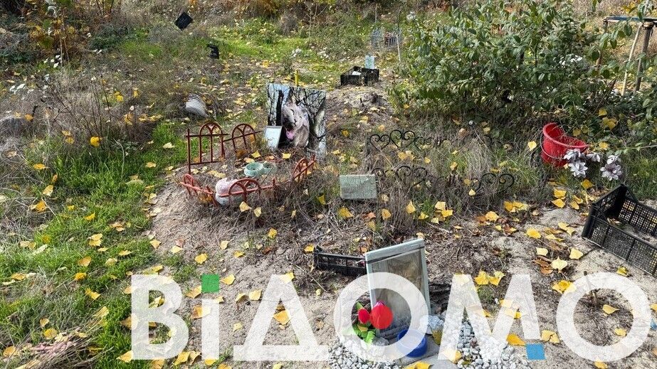 Тварини як частина життя: у Дніпрі на Червоному Камені існує найбільше стихійне кладовище тварин (ФОТО, ВІДЕО)