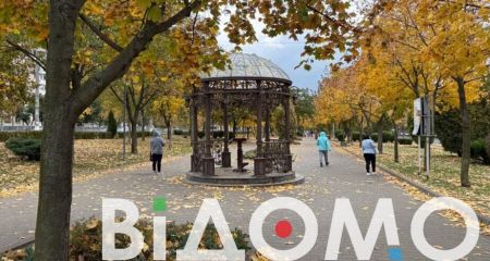 Золота осінь у Дніпрі: прогулянка різнобарвною алеєю на лівому березі (ФОТО, ВІДЕО)