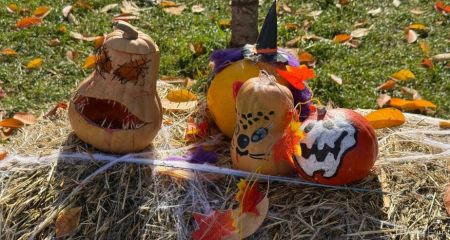 Вечірки, декорації ч...