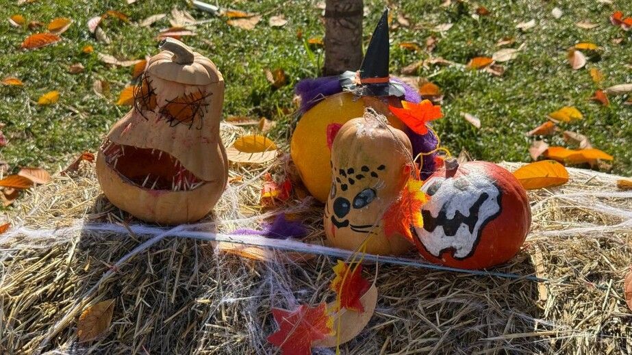 Вечірки, декорації чи жодного святкування: як у Дніпрі містяни відзначали Геловін (ФОТО, ВІДЕО)