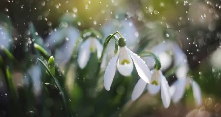 Справжній весняний д...