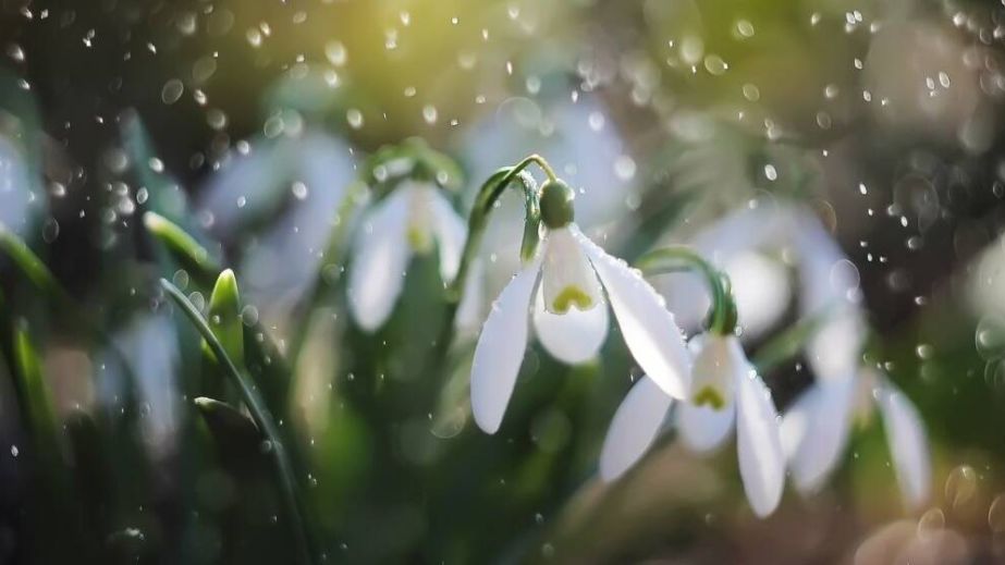 Справжній весняний день: якою буде погода у Дніпрі та області 10 березня