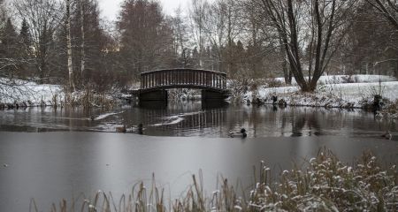 В Кривом Роге дети устроили опасные развлечения на тонком льду (ВИДЕО)
